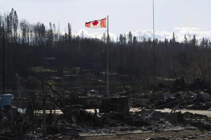 Black bears prowling Canadian oil town in wake of massive wildfire